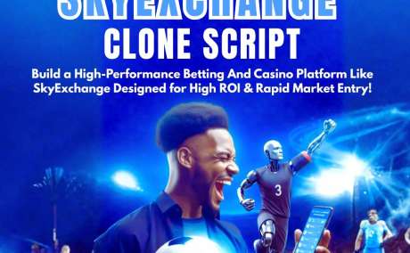 How Much Does It Cost to Build a Casino and Sport Betting Platform Like SkyExchange?