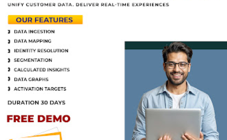 Salesforce Data Cloud Classes | Live Online Training