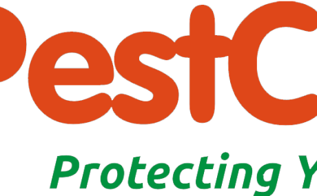 Pestcare India Pvt Ltd. Pest Control Service | Termite | Cockroach | Rodent | Control