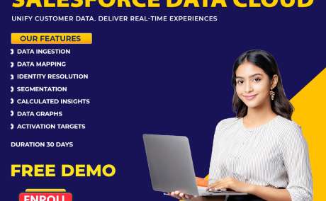 Salesforce Data Cloud Training Ameerpet | Online Course