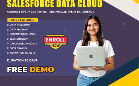 Data Cloud Salesforce Training | Live Online Classes