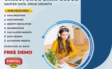 Salesforce Data Cloud Training Online | Live Expert Classes