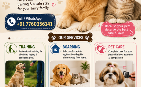 Complete Animal & Pet Services in Bangalore | VR Animal 360