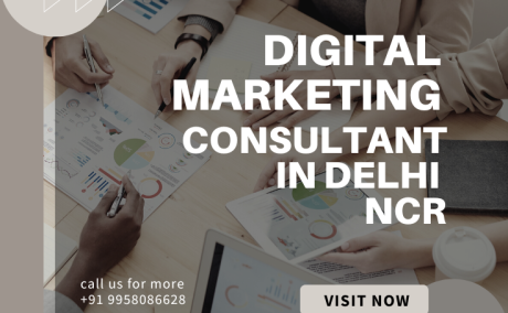 Digital Marketing Consultant in Delhi NCR for More Leads, Visibility & Conversions