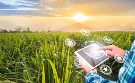Agriculture Software Solutions Bangalore | Agri Tech Companies