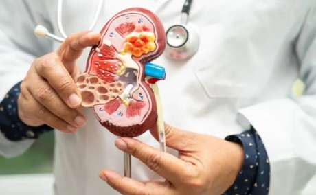 Find the Best Kidney Specialist in Dwarka | Ayushman Hospital
