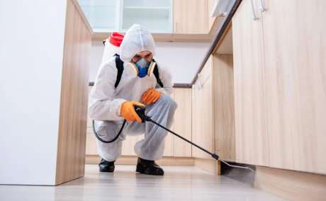 Pest Control Service