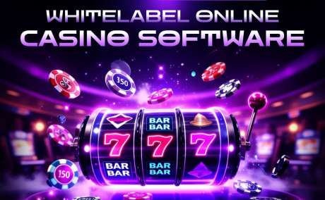 Crypto Entrepreneurs Boost Success Using Our White Label Casino Software