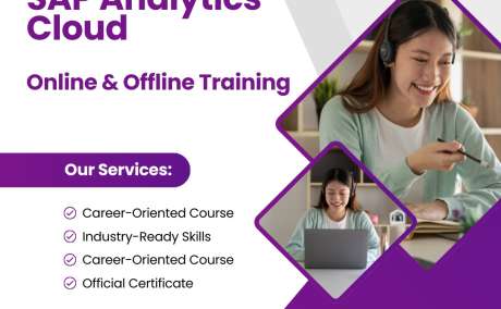 Version IT - The Best SAP Analytics Cloud Training Institute in Bangalore