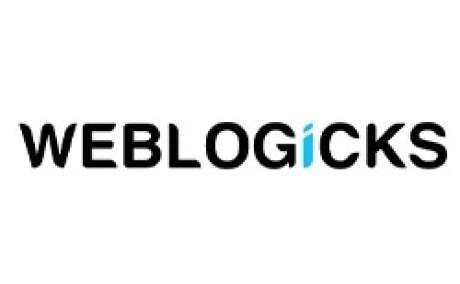 SEO & Digital Marketing Company in Bangalore  | WebLogicks