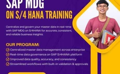 Be a Certified SAP MDG Expert with the Best SAP MDG Training in Chennai at Version IT