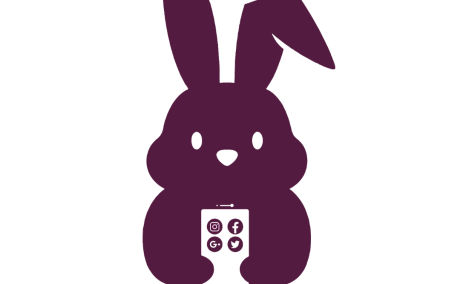 Affordable Social Media Marketing Agency for Business Growth