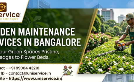 Garden Maintenance Services in Bangalore - Professional Garden Care