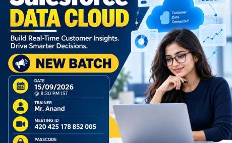 Salesforce Data Cloud Online Training | New Batch Open!