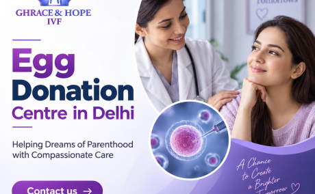 Key Steps in Donor Egg Assisted Reproduction