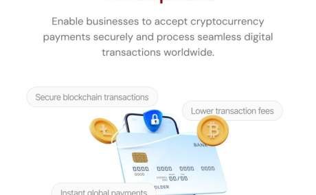 Hire a Crypto Payment Gateway Development Company — Multi-Currency, Secure & Ready to Launch