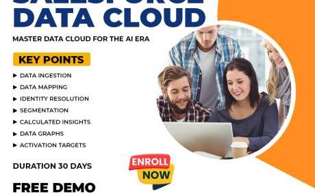Master Data Cloud Salesforce Training | Hands-On Projects