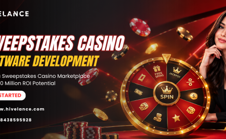 Launch a Sweepstakes Casino Software with $10M ROI Opportunity