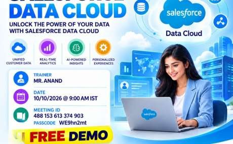 Salesforce Data Cloud Training Ameerpet | Corporate Training